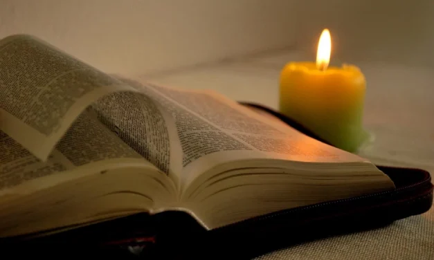 La Palabra de Dios y la catequesis