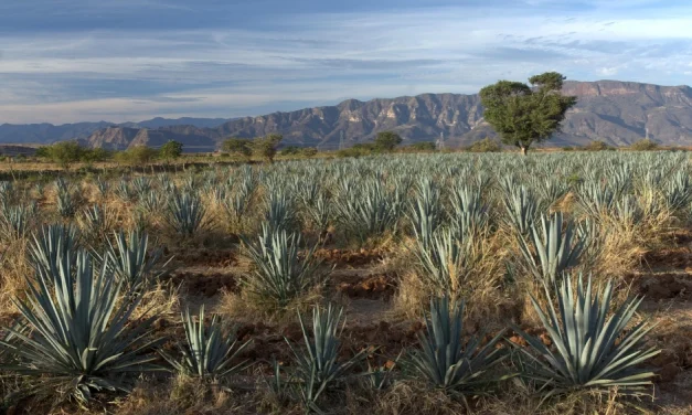 Cristeros y agraristas en Jalisco (Parte 1)