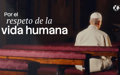 “Por el respeto de la vida humana”, la intención de oración del Papa León XIV en julio