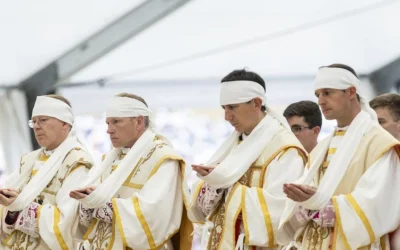 Notas a la proclamación de fe de los lefebvristas