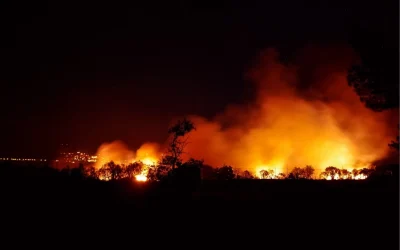 El fuego rodeó el monasterio, pero no entró: el testimonio de fe que conmueve a Francia