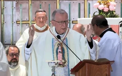 Presencia, minoridad y oración desde Guadalupe para consolar a un pueblo que clama por la paz: Card. Parolin