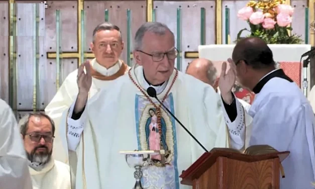Presencia, minoridad y oración desde Guadalupe para consolar a un pueblo que clama por la paz: Card. Parolin