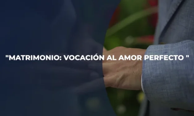 Testigos del Reino – «Matrimonio: vocación al amor perfecto»
