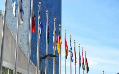 ¿Y la ONU?