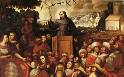 800 años del tránsito: la Pascua de San Francisco