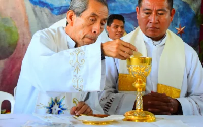Vocaciones: oración, testimonio y organización pastoral