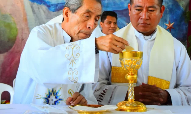 Vocaciones: oración, testimonio y organización pastoral